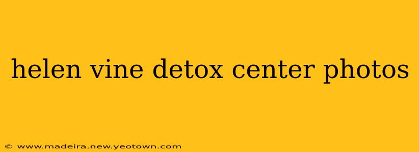 helen vine detox center photos