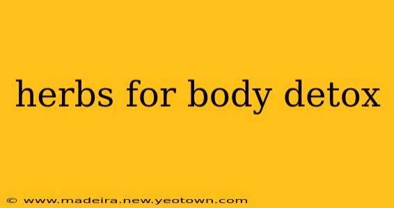 herbs for body detox
