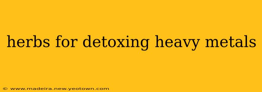 herbs for detoxing heavy metals