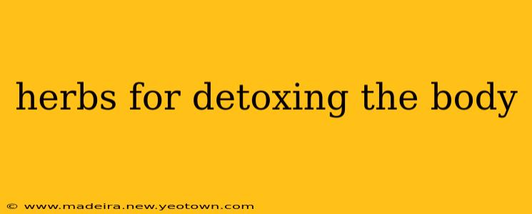 herbs for detoxing the body