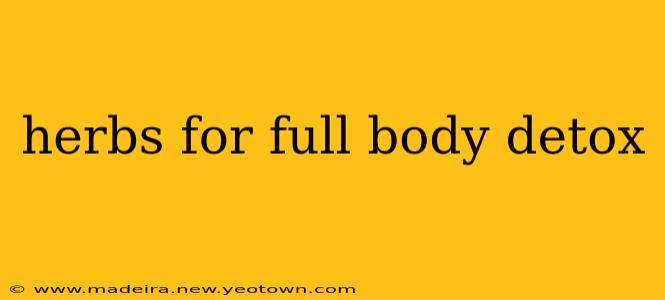 herbs for full body detox