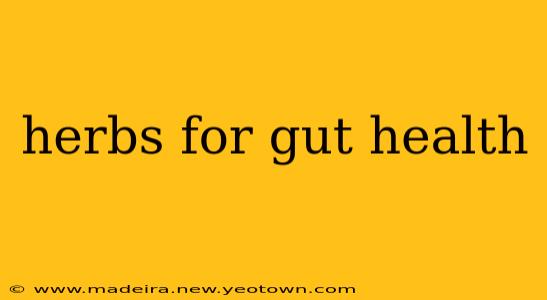 herbs for gut health