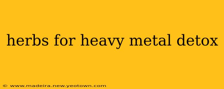 herbs for heavy metal detox