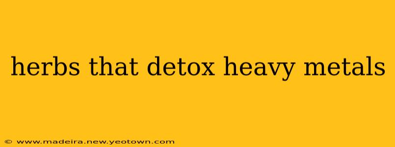 herbs that detox heavy metals