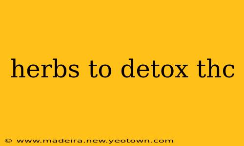 herbs to detox thc