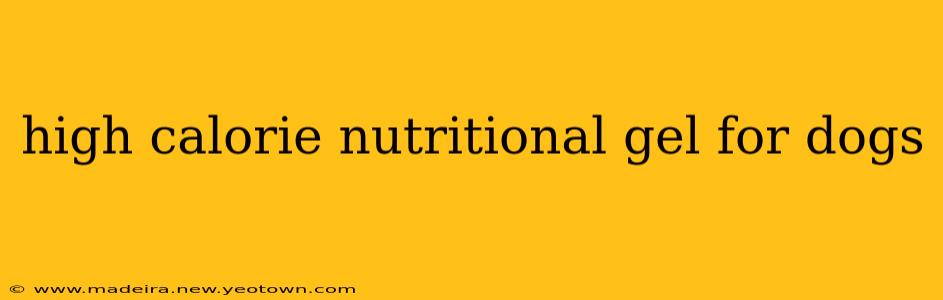 high calorie nutritional gel for dogs