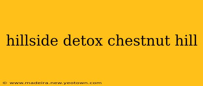 hillside detox chestnut hill