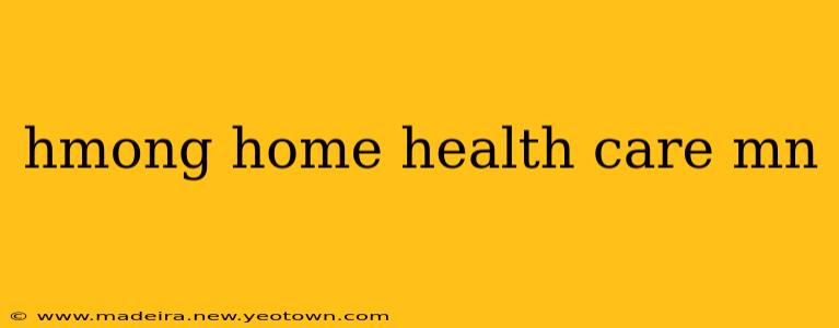 hmong home health care mn