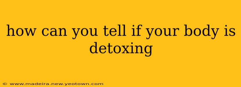 how can you tell if your body is detoxing
