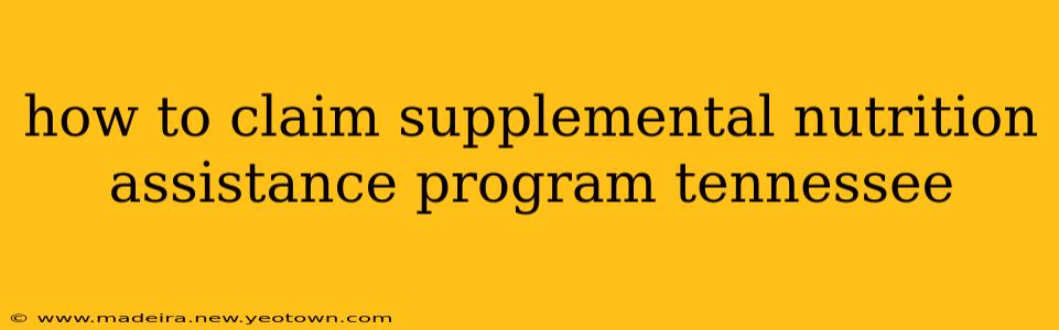 how to claim supplemental nutrition assistance program tennessee