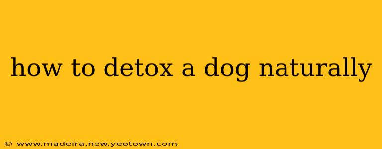 how to detox a dog naturally