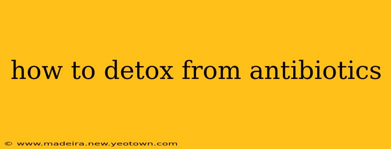 how to detox from antibiotics