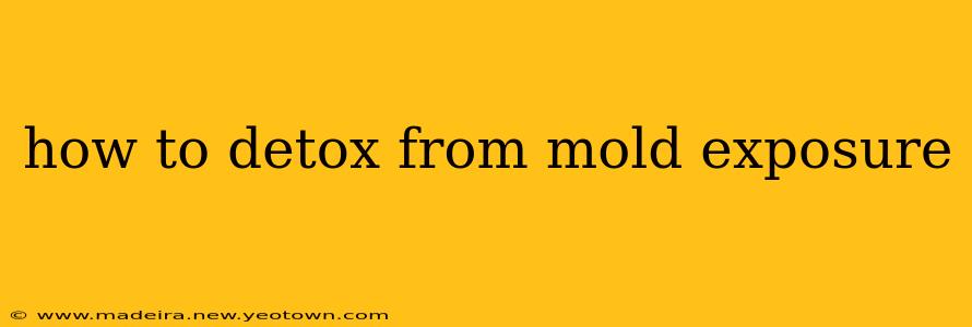how to detox from mold exposure