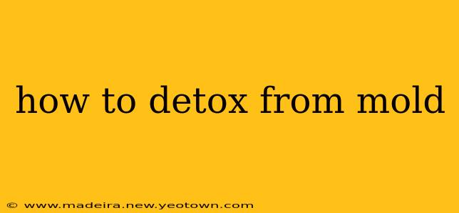 how to detox from mold