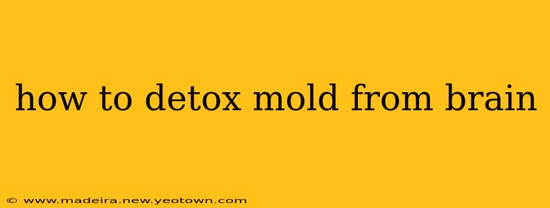 how to detox mold from brain