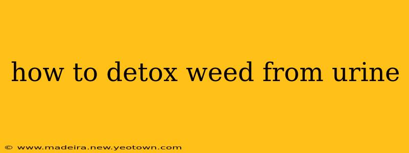 how to detox weed from urine