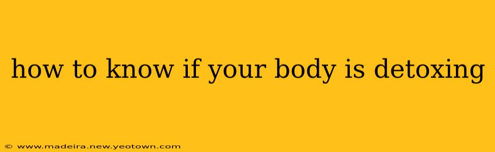 how to know if your body is detoxing