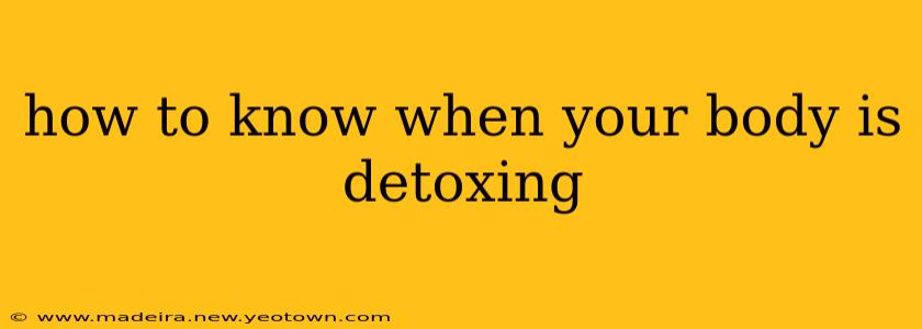 how to know when your body is detoxing