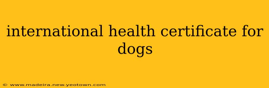 international health certificate for dogs