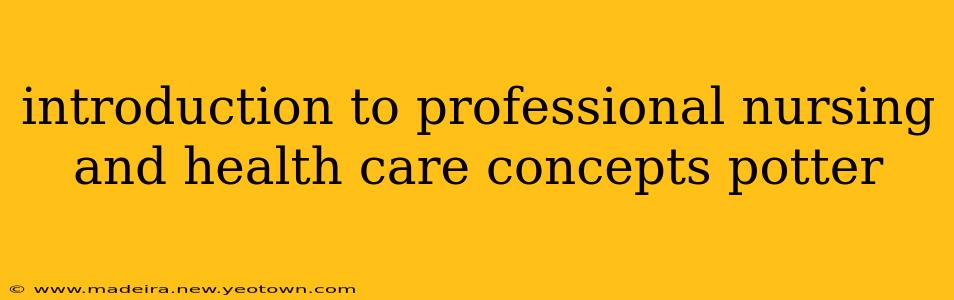 introduction to professional nursing and health care concepts potter
