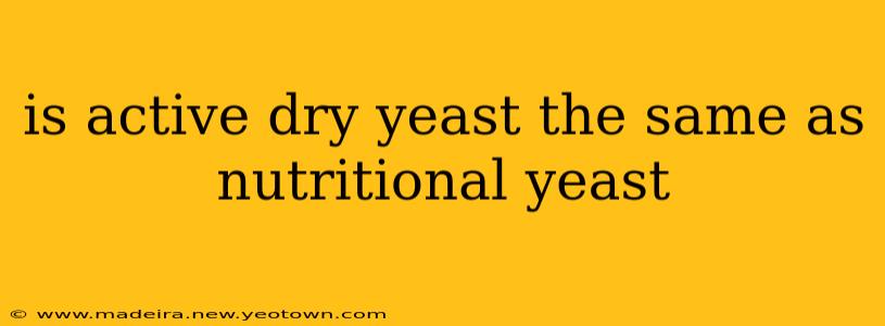 is active dry yeast the same as nutritional yeast