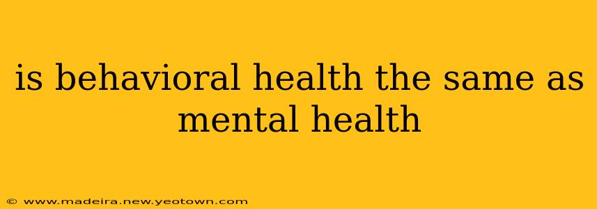 is behavioral health the same as mental health