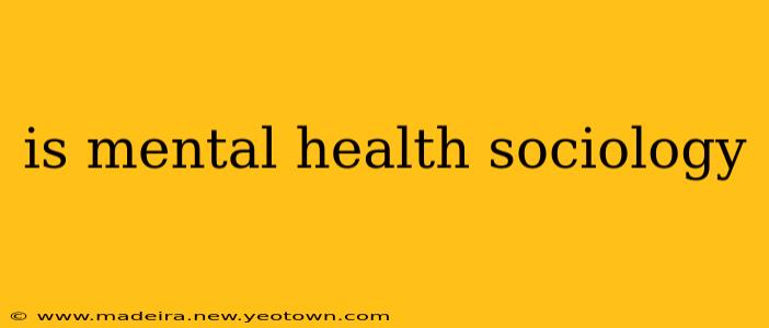 is mental health sociology