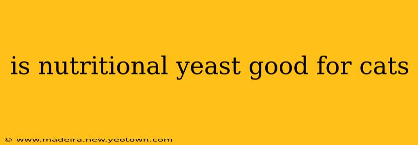 is nutritional yeast good for cats