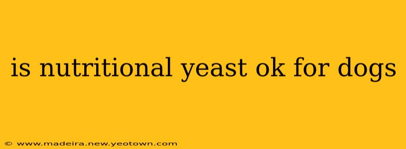 is nutritional yeast ok for dogs