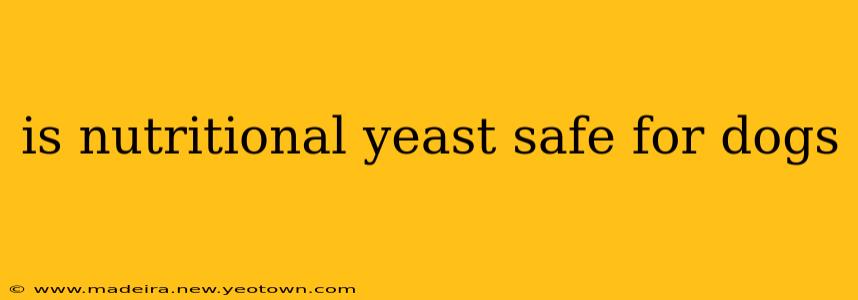 is nutritional yeast safe for dogs