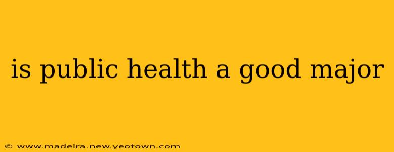 is public health a good major