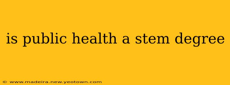 is public health a stem degree