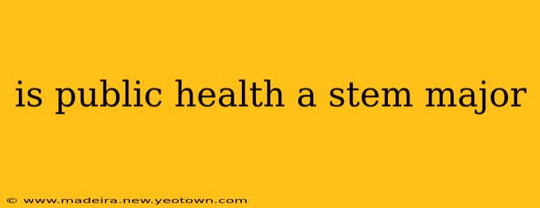is public health a stem major