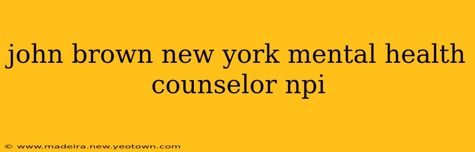 john brown new york mental health counselor npi