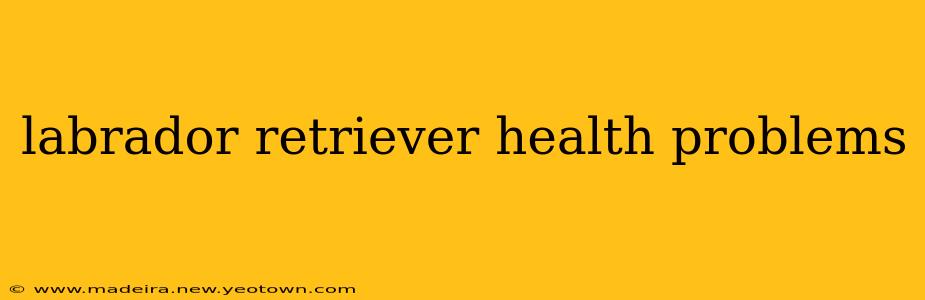 labrador retriever health problems