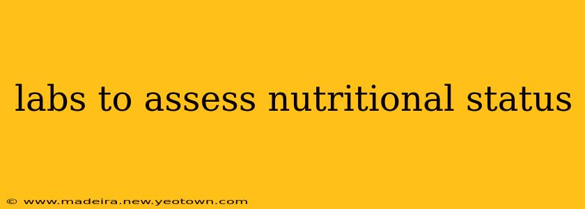 labs to assess nutritional status