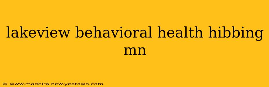 lakeview behavioral health hibbing mn