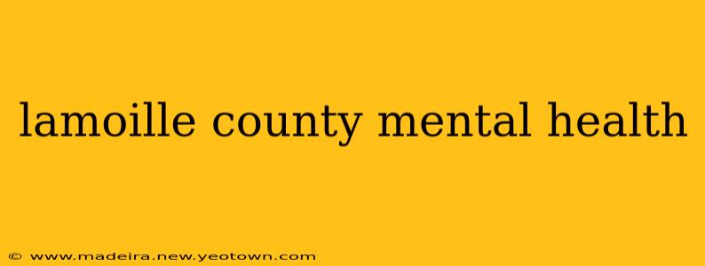 lamoille county mental health