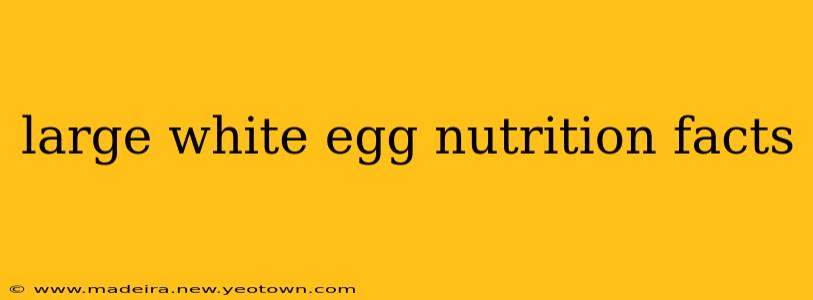 large white egg nutrition facts