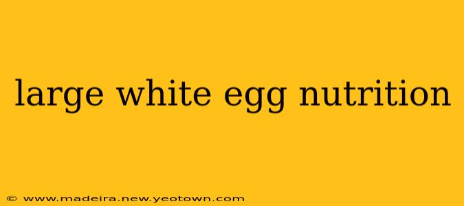 large white egg nutrition