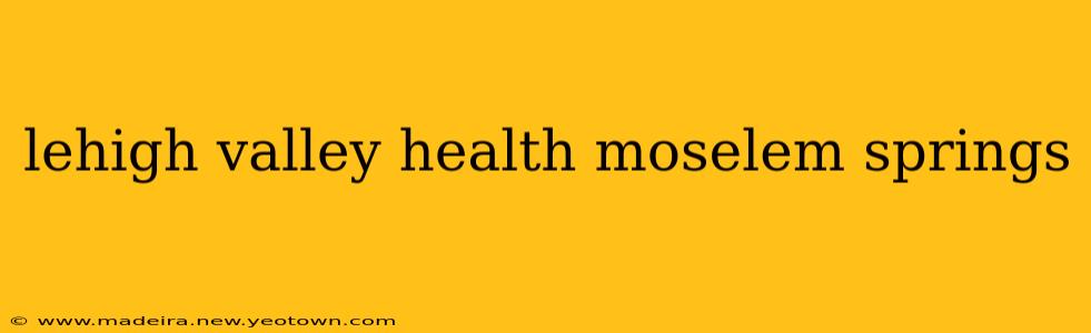 lehigh valley health moselem springs