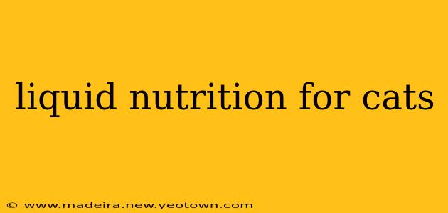 liquid nutrition for cats