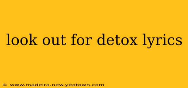 look out for detox lyrics
