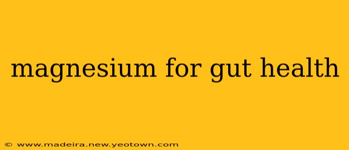 magnesium for gut health