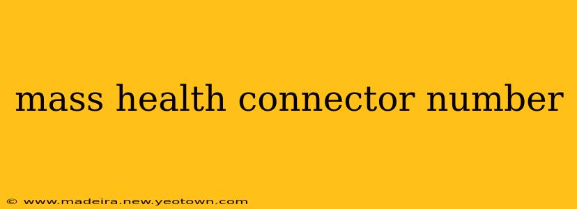 mass health connector number