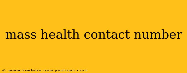 mass health contact number