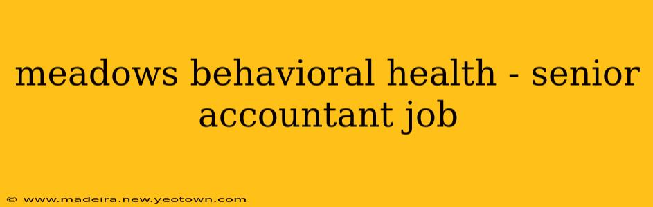 meadows behavioral health - senior accountant job