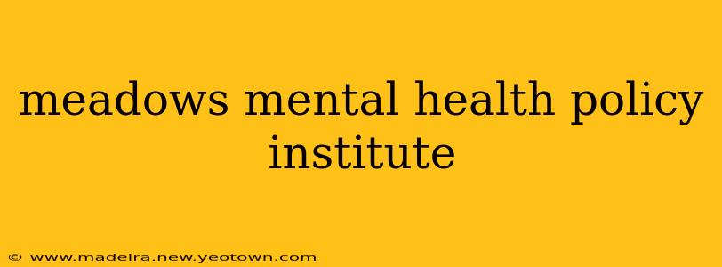meadows mental health policy institute