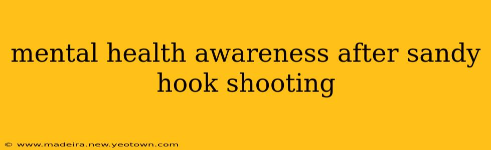 mental health awareness after sandy hook shooting