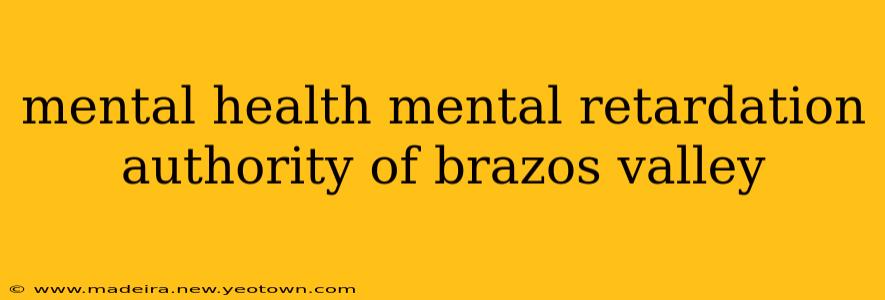 mental health mental retardation authority of brazos valley